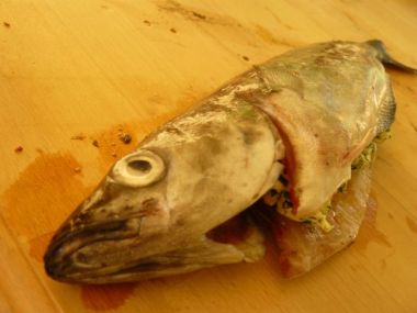 Forelle vor dem Grill